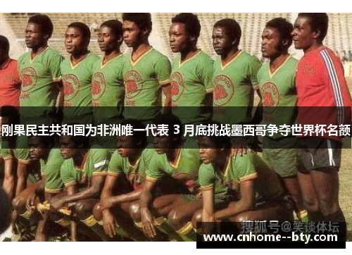 刚果民主共和国为非洲唯一代表 3 月底挑战墨西哥争夺世界杯名额