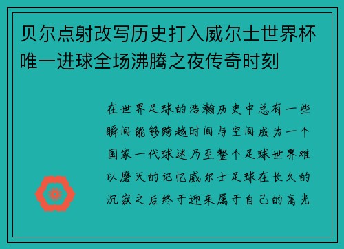 贝尔点射改写历史打入威尔士世界杯唯一进球全场沸腾之夜传奇时刻